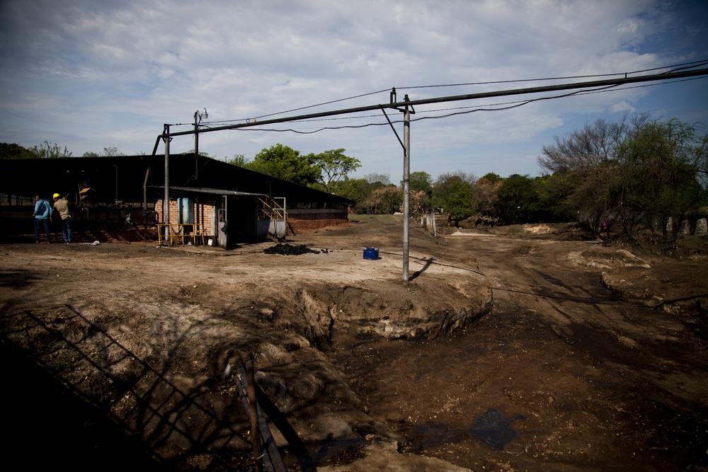 Empleados del ingenio La Magdalena limpian la pila de melaza que rebalsó el 5 de mayo y contaminó más de ochenta kilómetros a lo largo de cuatro ríos en el occidente de El Salvador, fronterizo con Guatemala.