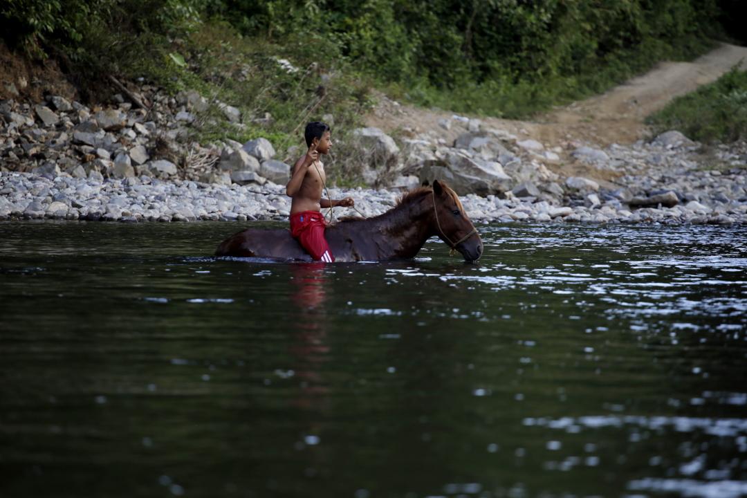 A young man and his horse bathe in the San Pedro River. The Carlos Escaleras National Park has various sources of water that converge into the Tocoa River. One of the principle source rivers is the San Pedro, an essential resource—for the water and for the spirit—for various local communities. Photo: Martín Cálix
