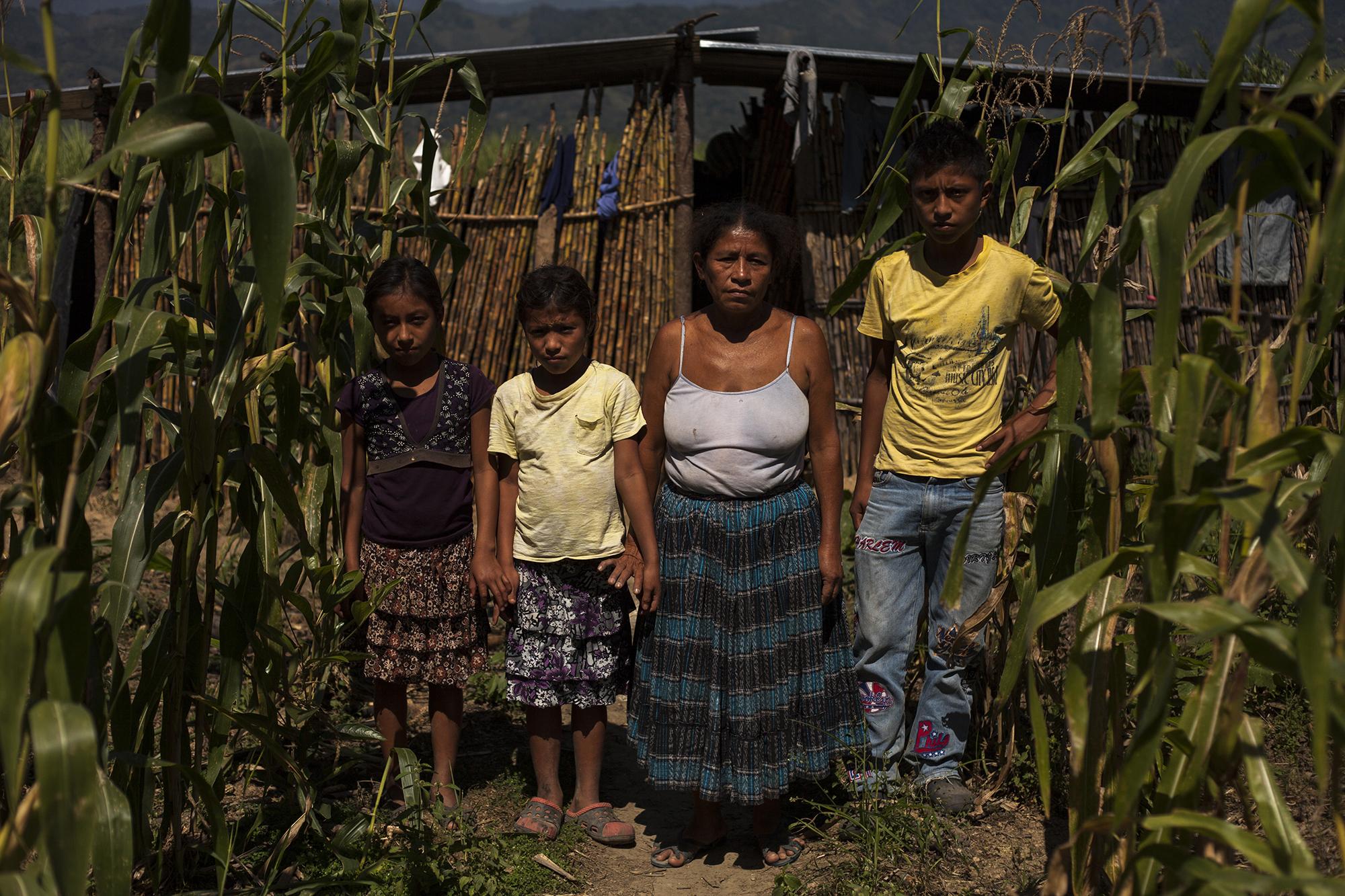 Cecilia Ichic Caal, de 48 años, posa junto a su familia en el Valle de Polochic, en el altiplano guatemalteco. Ella fue desalojada violentamente por policías, soldados y guardias de seguridad privada, junto a 750 familias, en 2011, porque el ingenio Chabil Utzaj reclamaba esas tierras como suyas. La Comisión Interamericana de Derechos Humanos resolvió que el desalojo fue ilegal. El Estado debe proveerles un hogar estable, pero eso no es más que una promesa. Chabil Utzaj significa “buena caña” en q’eqchí. La casa de la señora Caal tiene suelo de tierra, y sus paredes están hechas con varas de caña vieja.