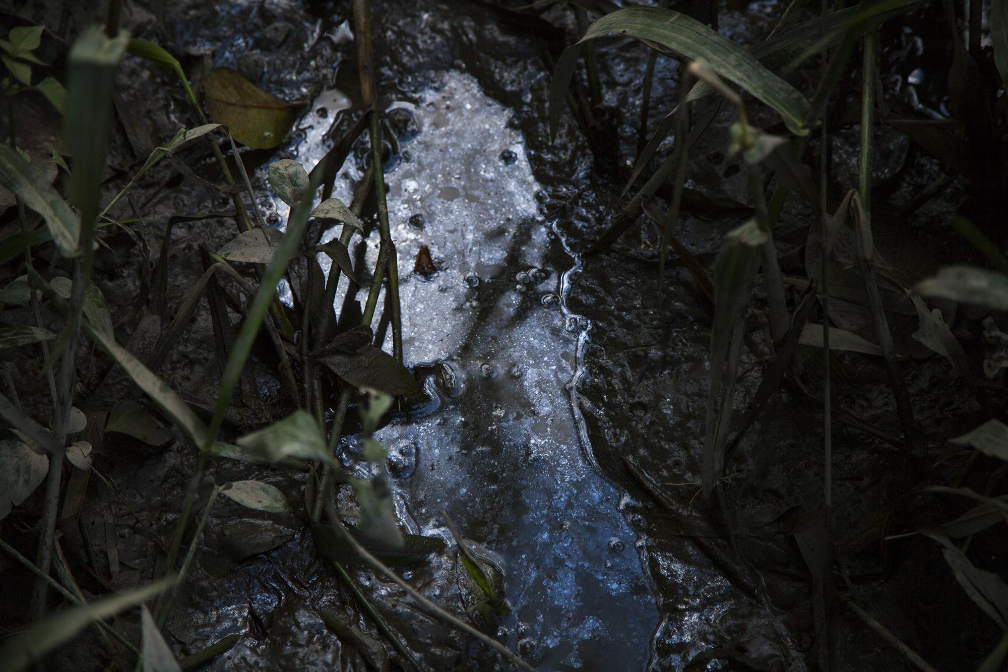 Una sustancia viscosa, similar al aceite, se abre paso en la ribera del río Leán, desde un desagüe que colinda con una planta extractora de la empresa Dinant, de la familia Facussé, una de las más fuertes del sector palmero de Honduras. 