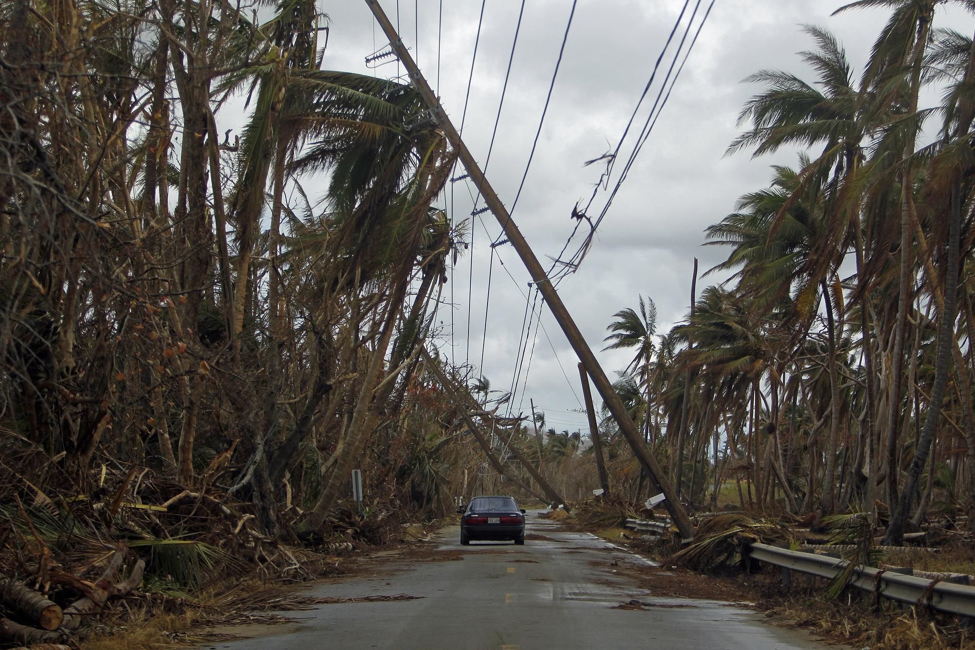 Devastación generada por el huracán María en el municipio de Humacao, en Puerto Rico. Foto Ricardo Arduengo (AFP).