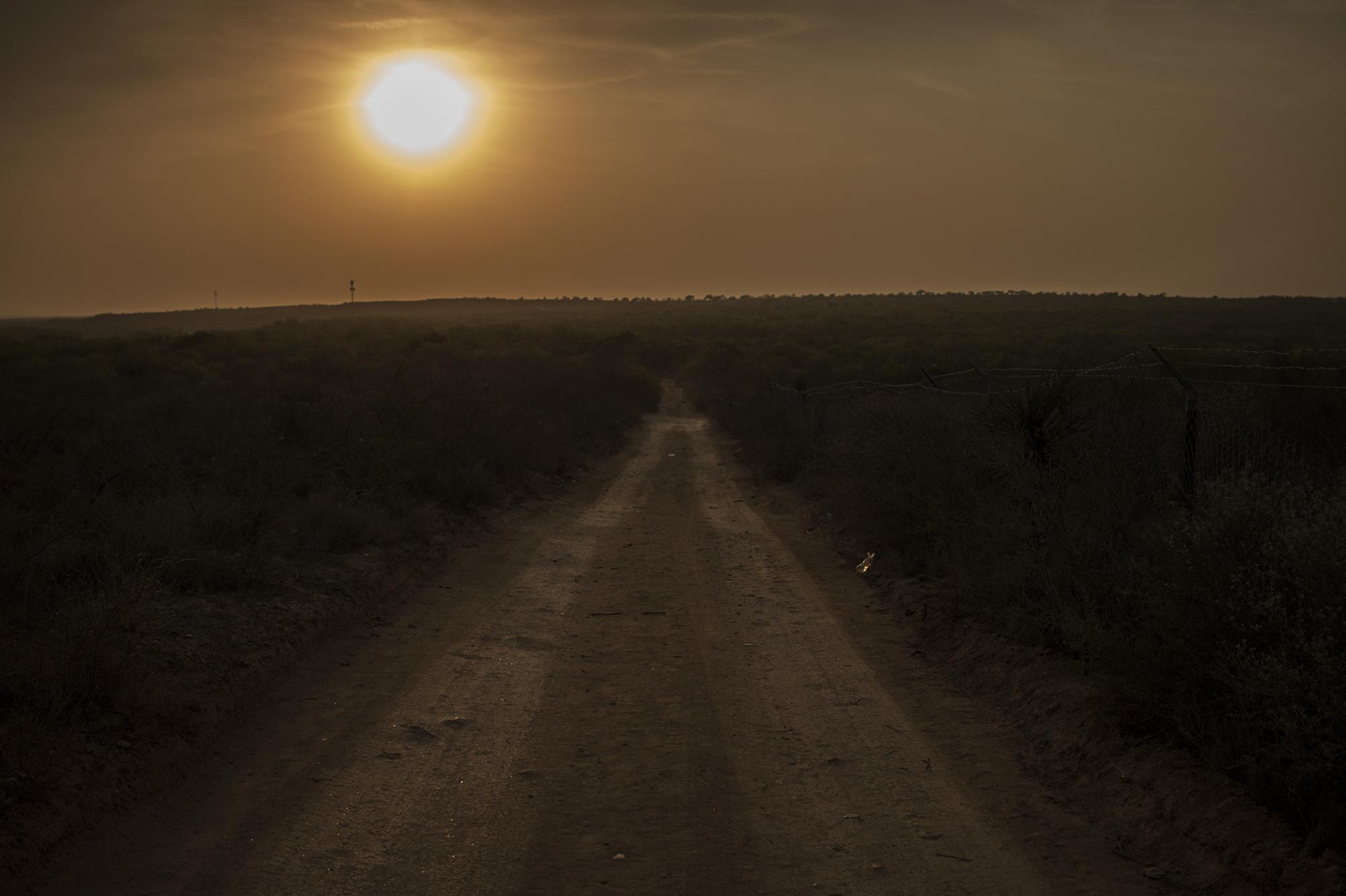 After crossing the river and landing on the northern banks of the Rio Grande, asylum seekers walk for more than a mile to reach the improvised Border Patrol stations in Roma, Texas. As night falls, animals come out and startle the walkers. One group surprised a wild boar, sending it scuttling off into the brush.