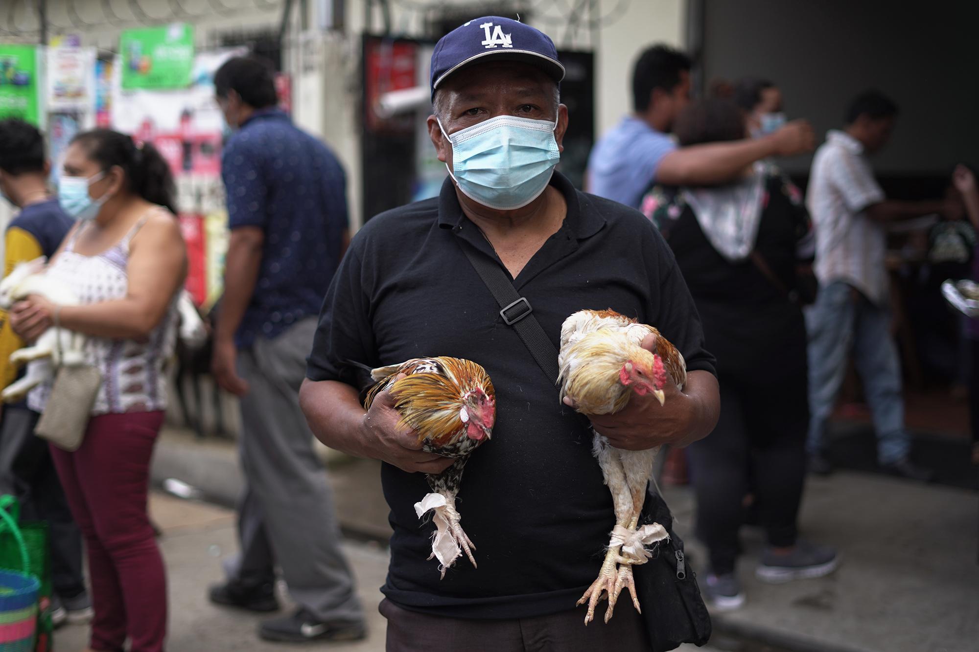 Teófilo García, 60, has worked for more than 18 years at the tiangue. Each Saturday he travels in public transportation with his miniature chickens, which sometimes perch on his shoulder. He charges $10 to $15 a bird. He comes from the municipality of San Martin. Teófilo assures that he has bartered when he can’t sell his birds. “I have also exchanged chickens for goats, ducks, and turkeys, and one time I exchanged a turkey for a parakeet,” he says.