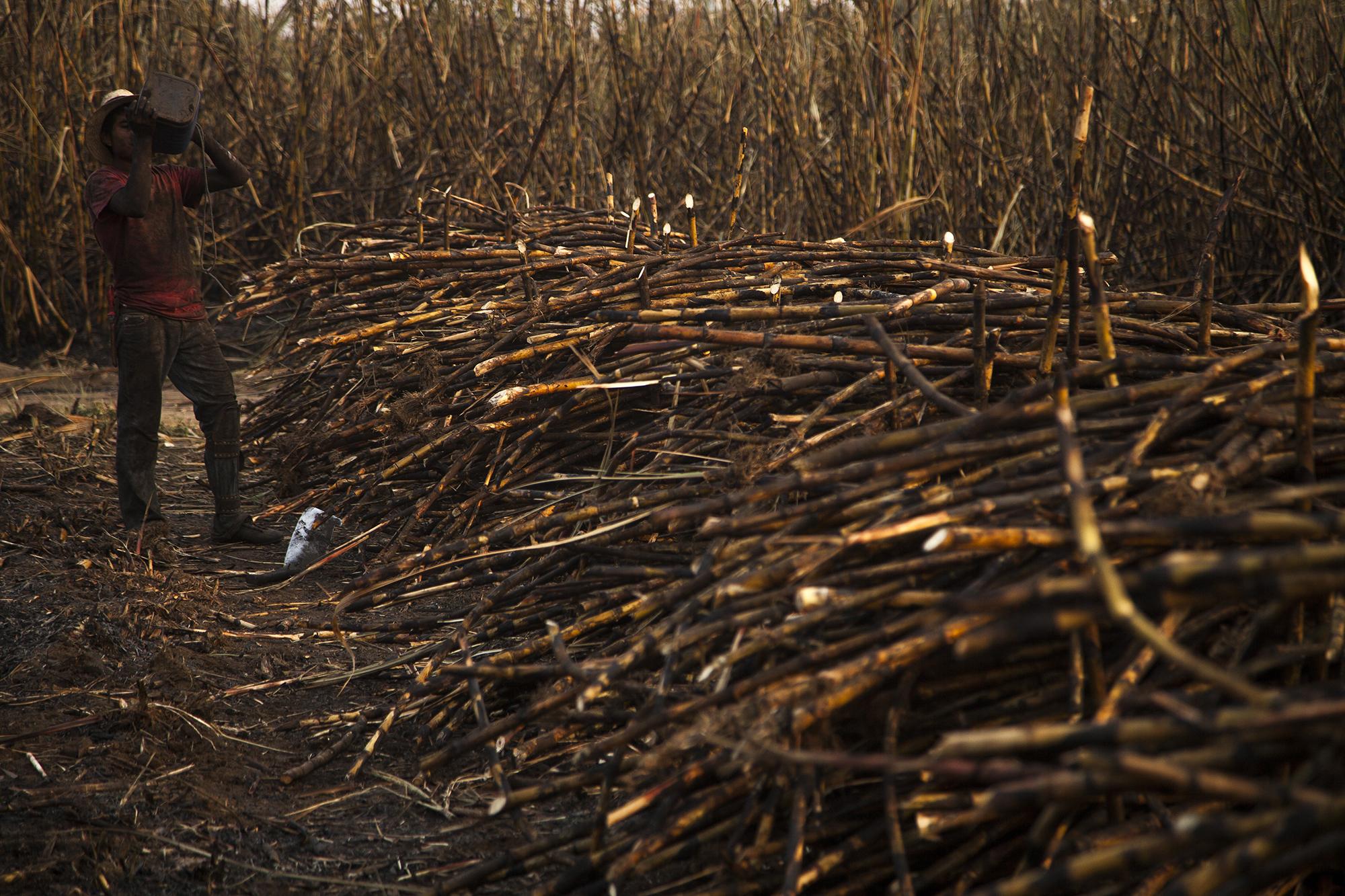 Martín Quinilla,22, takes a break during the sugarcane harvest day on the Madre Tierra property in the Escuintla department. Guatemala is internationally considered to be a 