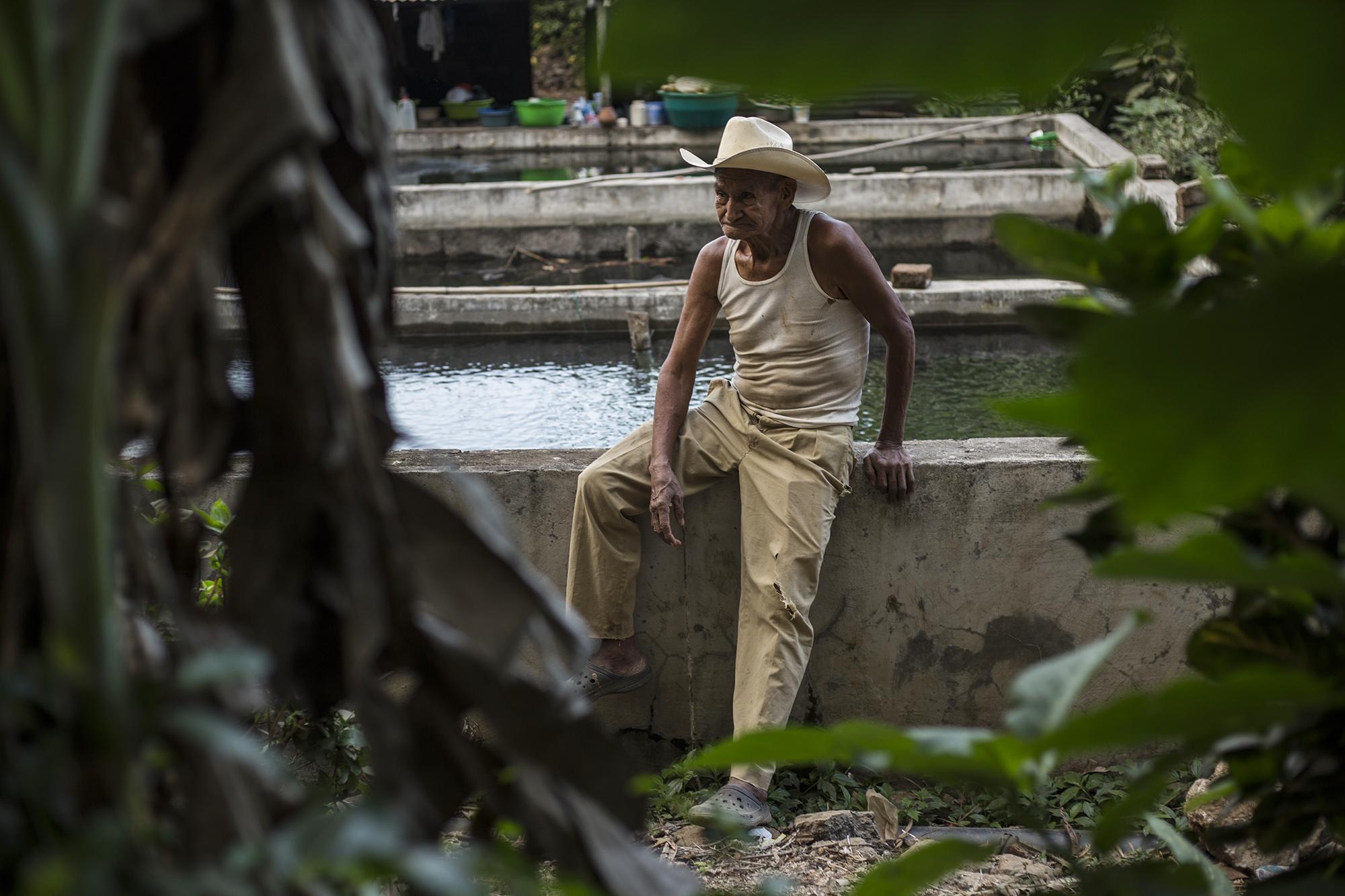 Antolino Artero, de 82 años, ayuda a su hija con el cultivo de tilapias. Cada tres meses producen alrededor de 200 libras que utilizan para su propio consumo. Como ellos, otras 17 familias cultivan tilapia y eso ya no vuelve el negocio rentable más que para el consumo propio. “Aquí disfrutamos del agua. Si nos la quitan vamos a tener que comprarla por cantaradas. Nosotros vemos que el presidente Bukele está trabajando, así que le pedimos que ponga atención en este robo que le quieren hacer a la comunidad”, dice.