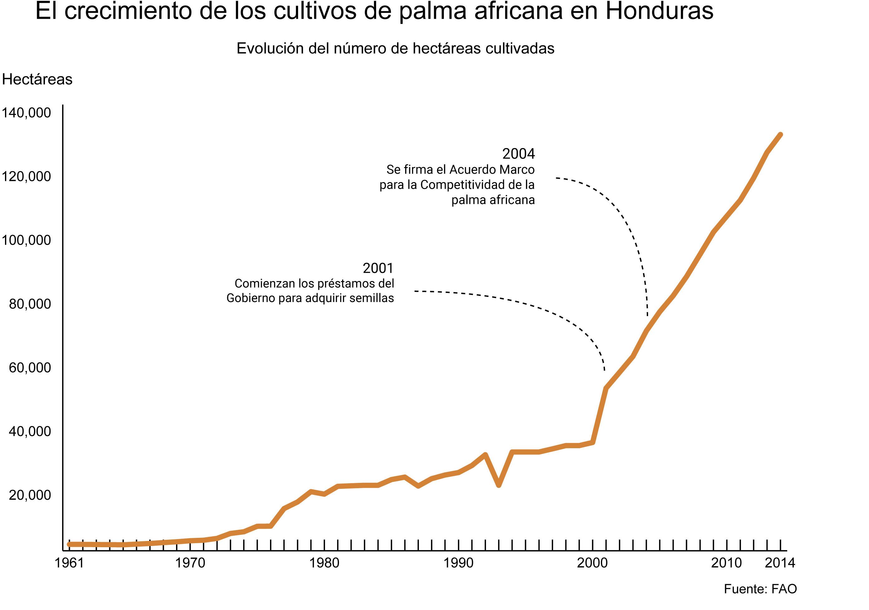 Gráfico de la evolución del crecimiento de cultivo de palma en Honduras