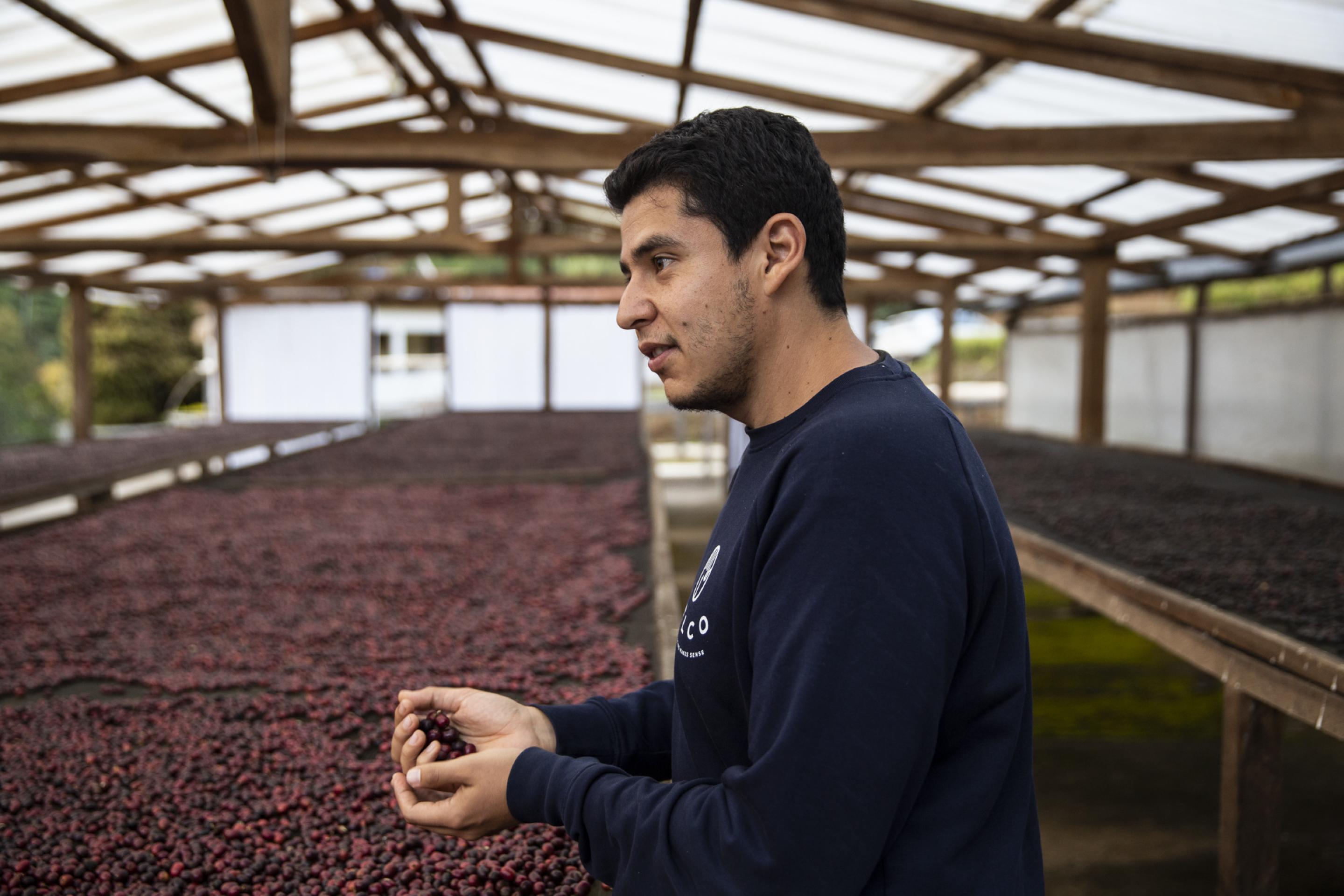 Ángel Barrera is an agroindustrial engineer, MSc in Food Technology, fourth generation of a coffee producing family in El Salvador, and current Head of Sourcing at BELCO, an independent French importer of sustainable coffees. Ángel is passionate about reading & writing, professional on the first & amateur on the second.