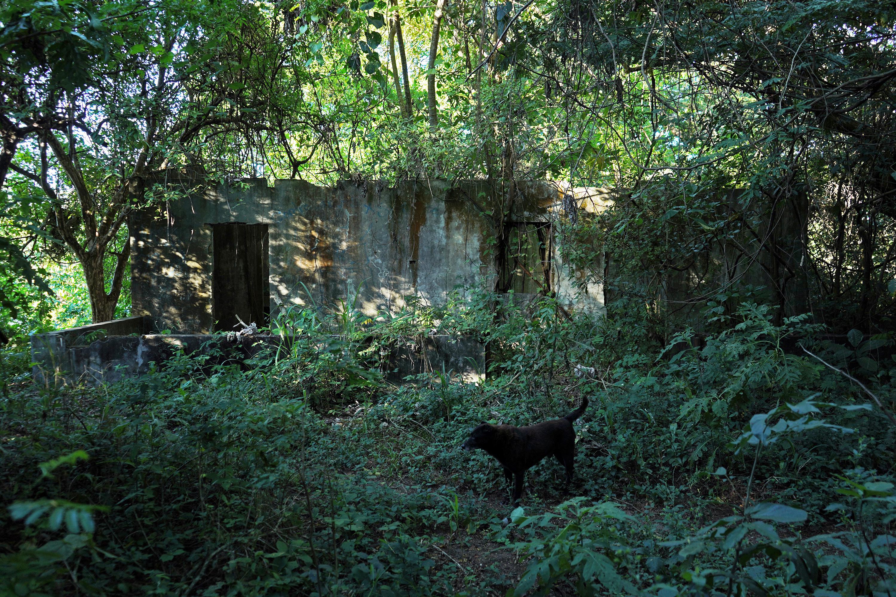 This abandoned and dilapidated house in Las Margaritas was used for many years by MS-13. Neighbors frequently heard gunshots coming from inside. Photo: Víctor Peña/El Faro