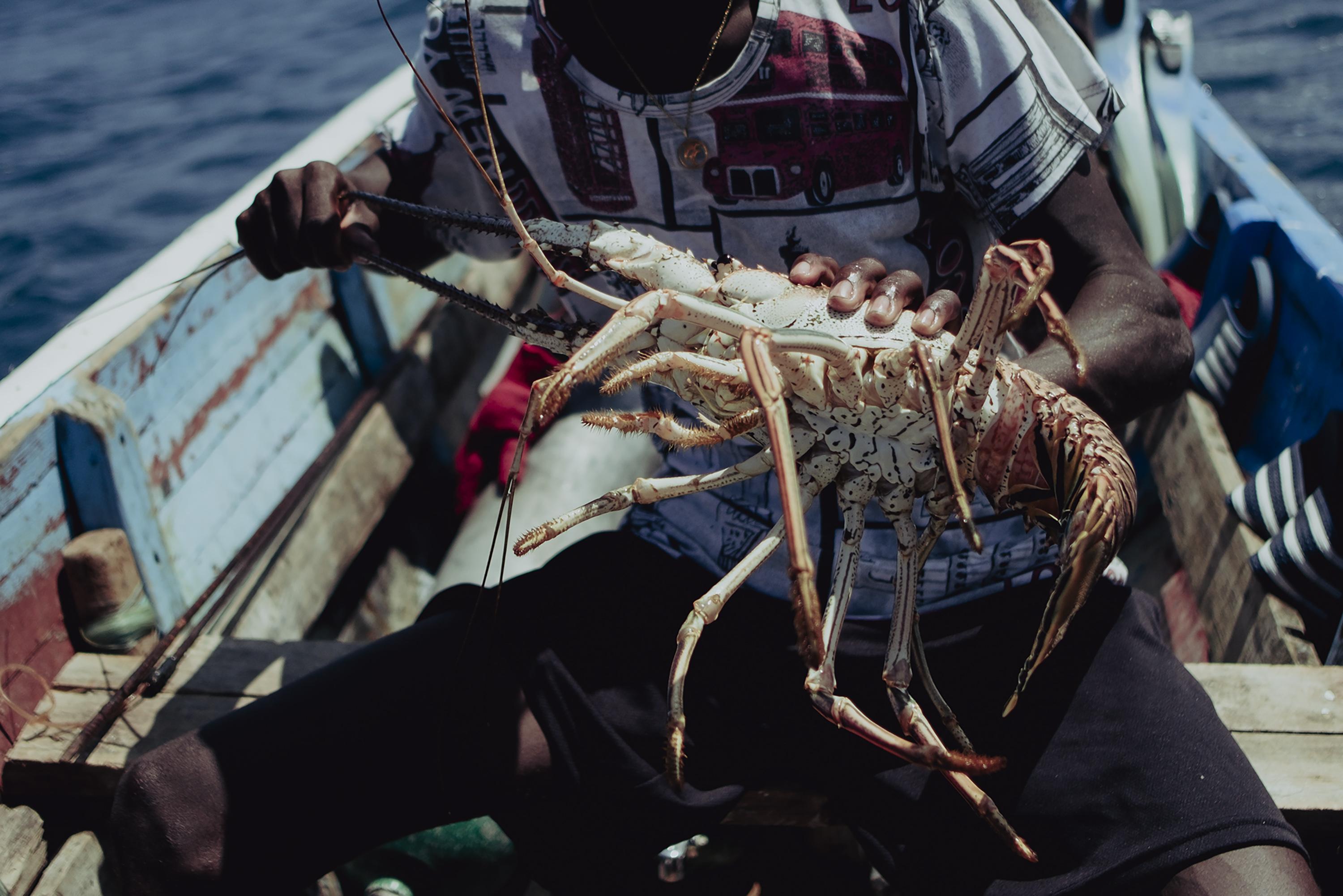 In a single day, Garifuna divers can gather up to six pounds of lobster to be sold to a food processing company for a total of $26. Teams share the earnings. Sometimes the Coast Guard confiscates the product, on the argument that it was collected in protected areas of the Cayos Cochinos.