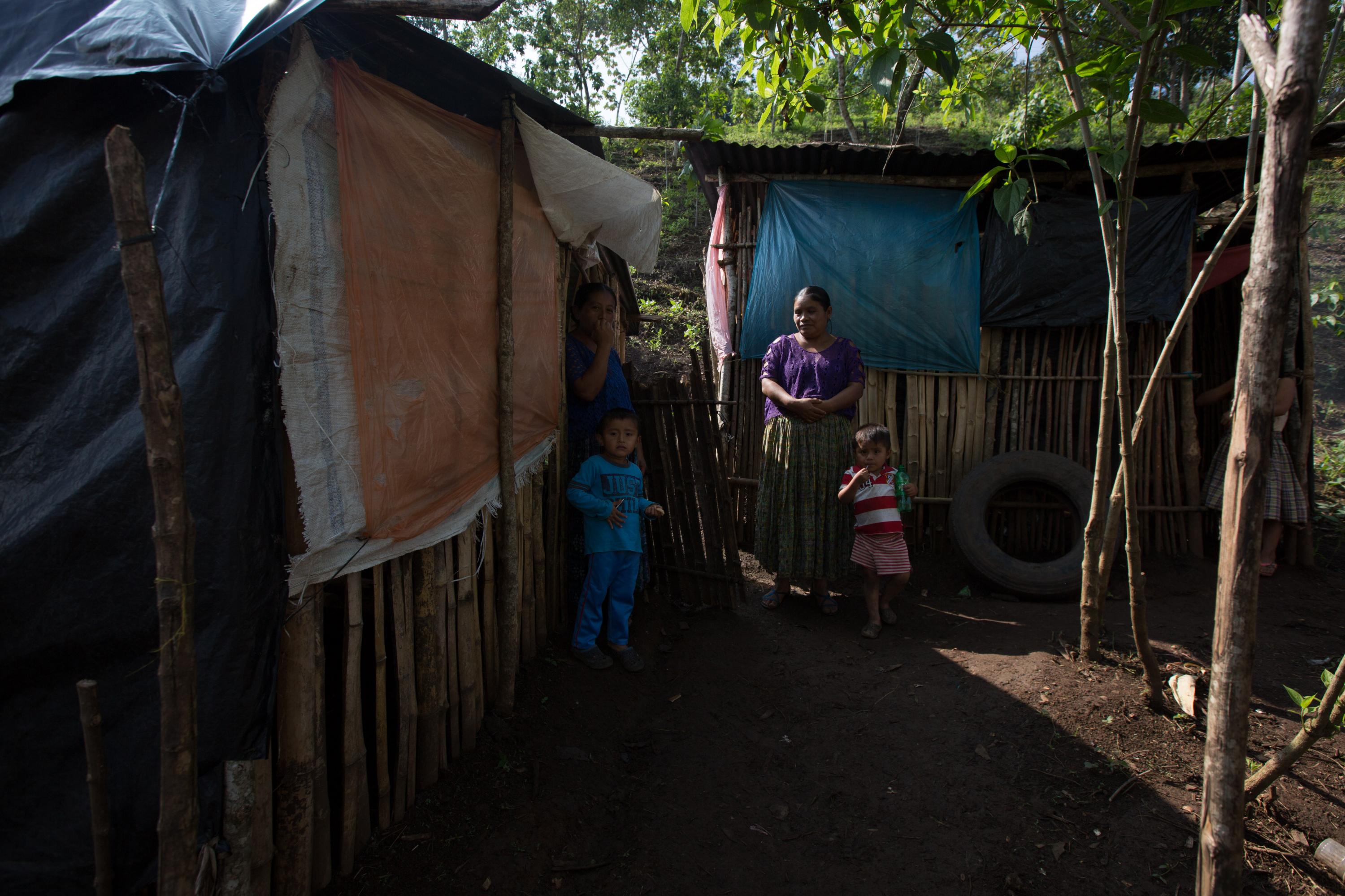 Families stand outside of their makeshift houses in the land occupation in Chitún, Tucurú, Alta Verapaz in October 2020. Photo from Jeff Abbott.