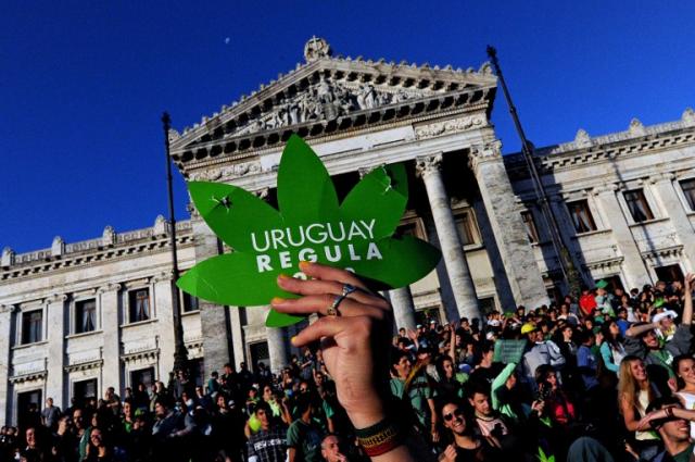 Uruguayos pro-legalización de la marihuana se manifiestan frente al Palacio Legislativo en diciembre de 2013, cuando se aprobó el marco jurídico que permite el consumo y el autocultivo. Foto archivo El Faro.
