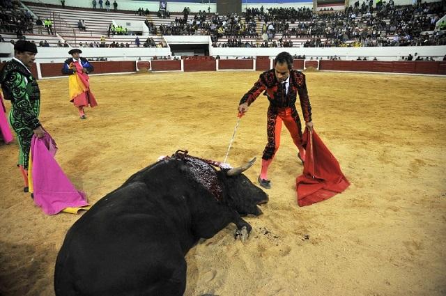 El matador colombiano Luis Bolivar mata a un toro en la plaza César Rincó, ubicada en Duitama, a unos 170 kilómetros de la capital, Bogotá, donde esta práctica se ha prohibido. Foto Guillermo Legaria (AFP).