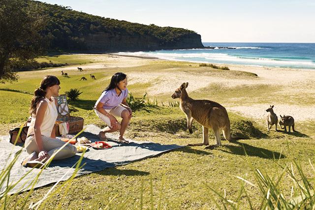 La fotografía es parte de la campaña: There´s nothing like Australia, que actualmente realiza el Estado australiano para promever el turismo en ese país de Oceanía.