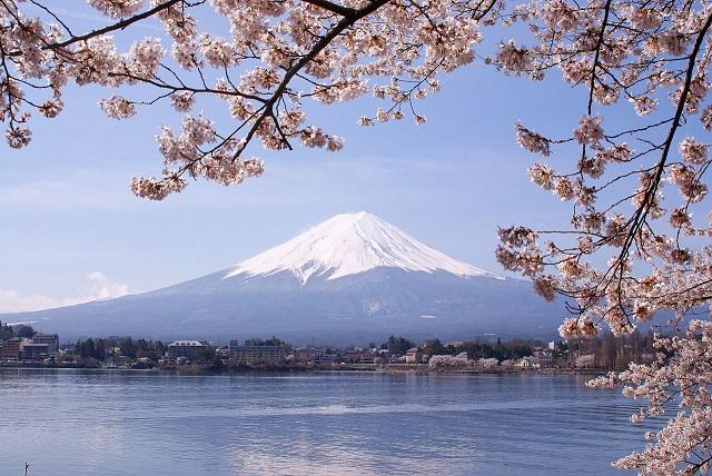 El lago Kawaguchi en primer plano, y al fondo, el majestuoso Monte Fuji, el volcán más alto de Japón. Foto Midori.