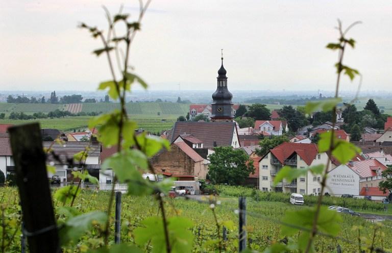 Kallstadt, al suroeste de Alemania, es una pequeña localidad viticultora en la que nació el abuelo paterno del candidato republicano Donald Trump. Foto Daniel Roland (AFP).